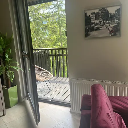 Appartement Panorama Gor Londyn W Centrum Z Balkonem I Widokiem Na Gory Szklarska Poreba