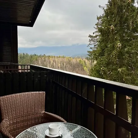 Trevilles Londyn W Centrum Z Balkonem I Widokiem Na Gory